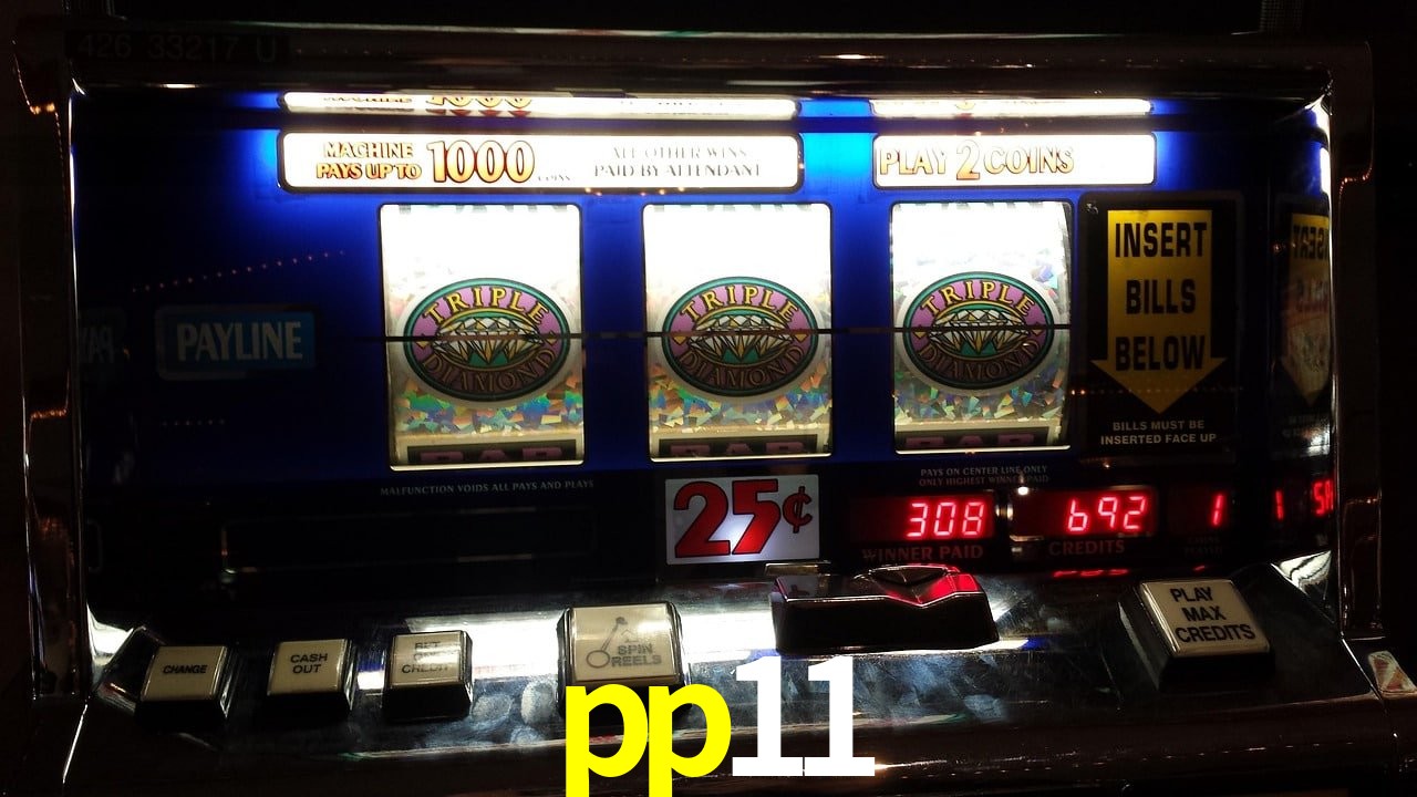 VIP Casino pp11