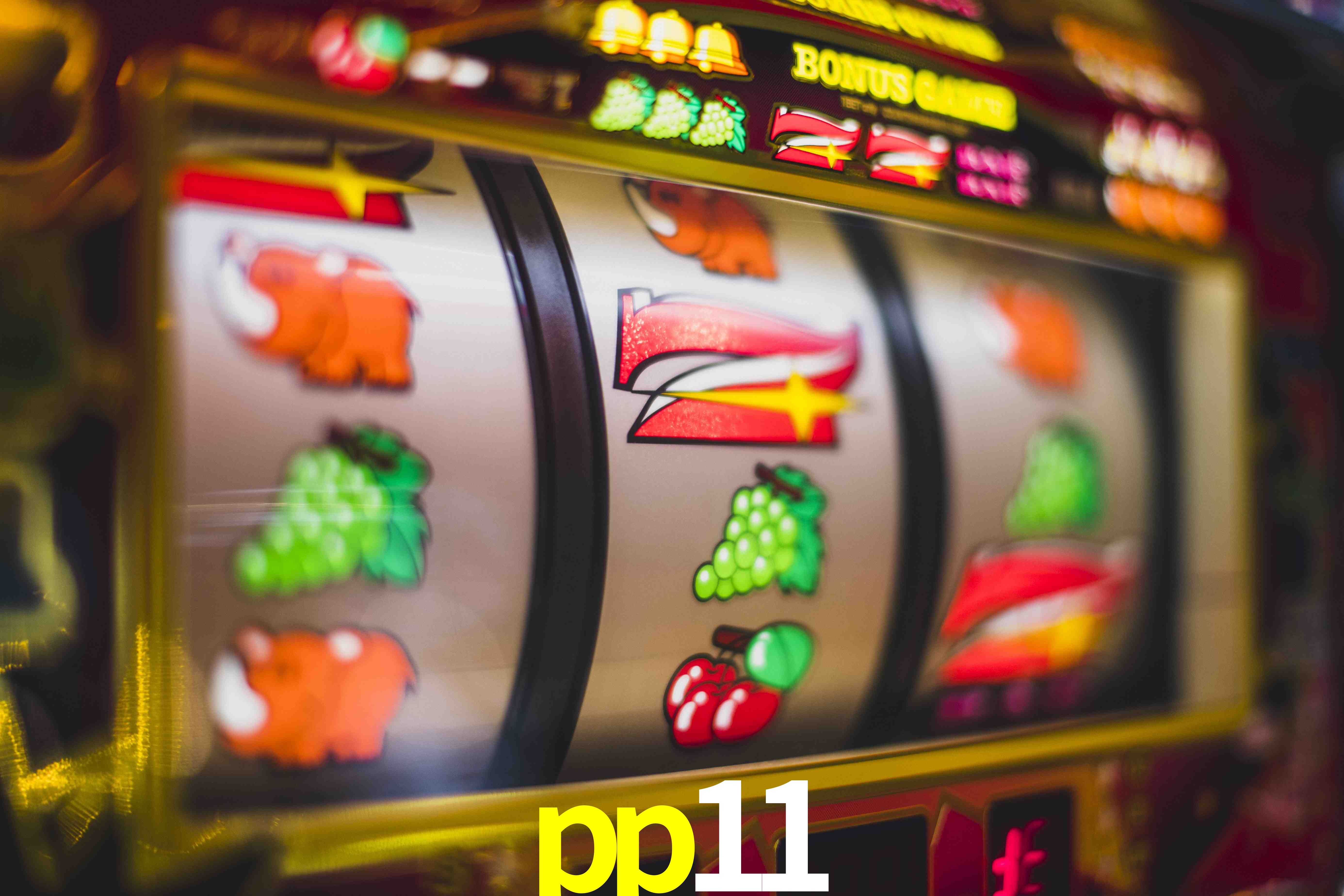 Live Casino pp11