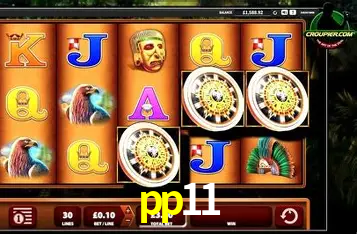 Interface Premium pp11